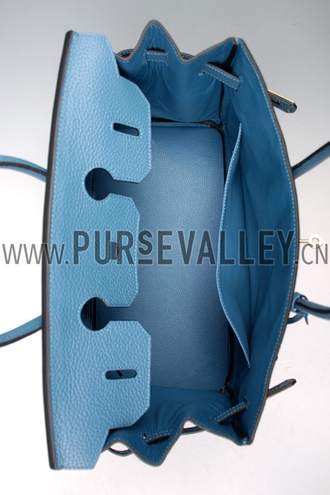 Hermes Birkin Horse Embossed Gold Hardware Tote Blue