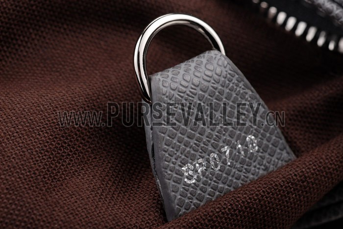 Louis Vuitton Sasha Taiga Leather Glacier