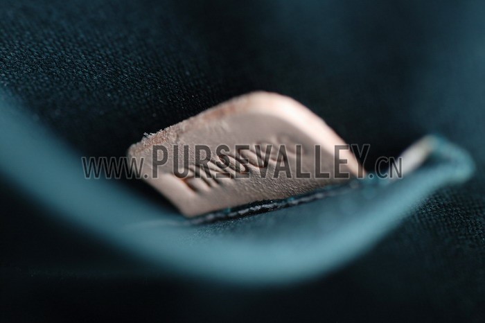 Louis Vuitton Vernis Alma