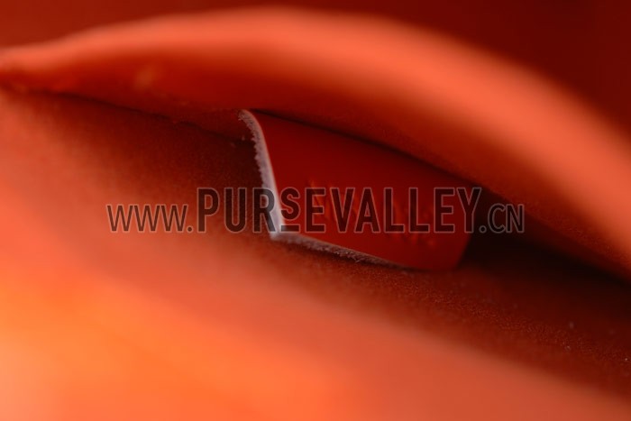 Louis Vuitton Alma PM Epi Learher Orange