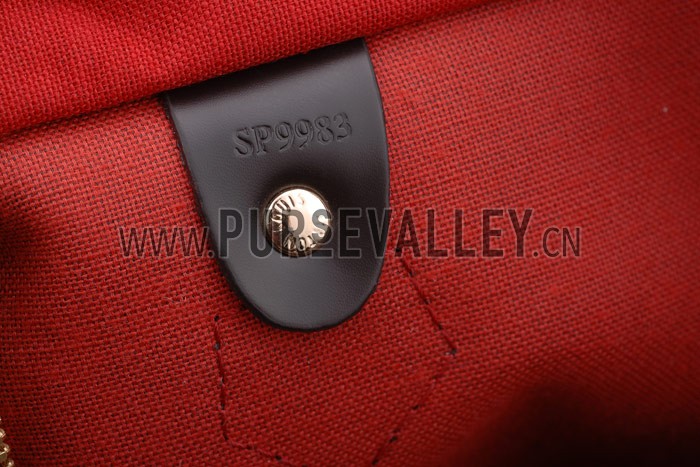 Louis Vuitton Damier Speedy 25 with Shoulder Strap