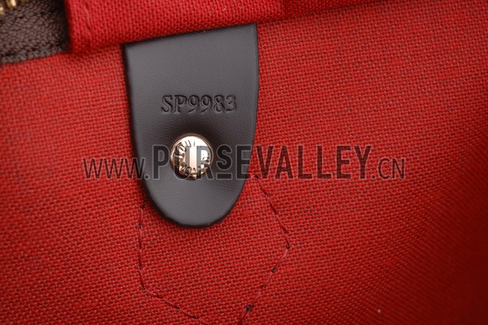 Louis Vuitton Damier Speedy 30 with Shoulder Strap