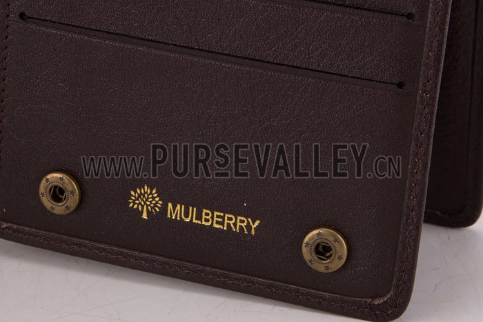 Mulberry Brown Organizer