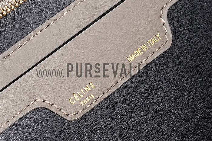 Celine Trapeze Beige Bag 607302