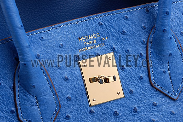 Hermes Birkin 35 Blue Ostrich Leather 607483