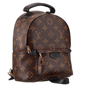 Louis Vuitton Monogram Palm Springs Backpack PM