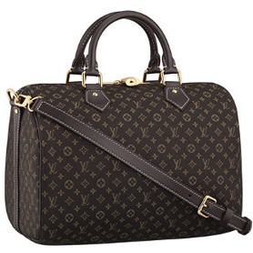 Louis Vuitton Speedy 30 Fusain
