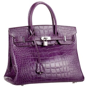 Hermes Birkin Bag Croc Purple