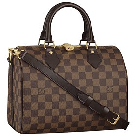 Louis Vuitton Damier Speedy 25 with Shoulder Strap