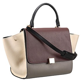 Celine Trapeze Beige Bag 607302