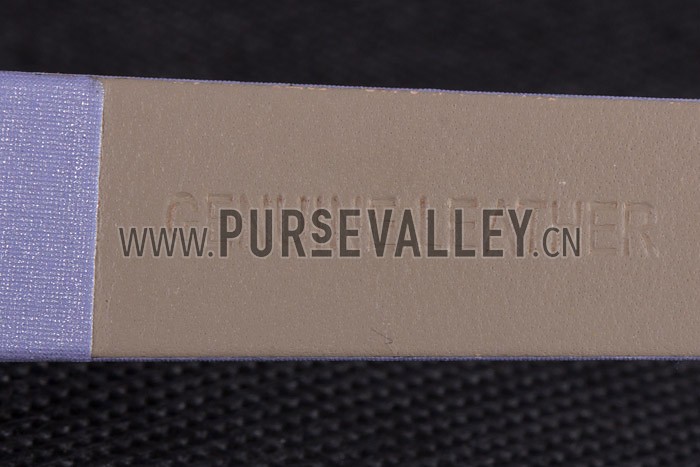 La D de Dior Lavender Rubber Strap with Lavender Dial 621509