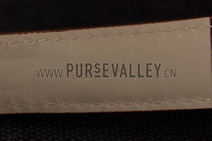 Cartier Moonphase Silver Watch with Brown Leather Band ct256 621375