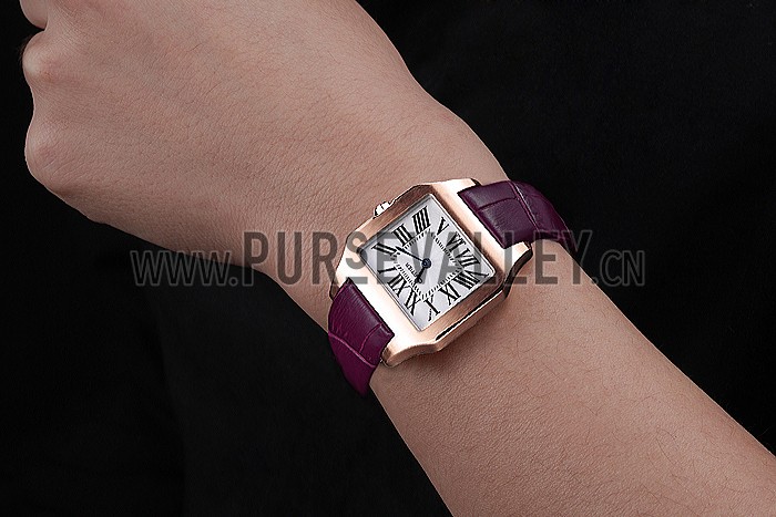 Cartier Santos 100 Polished Rose Gold Bezel 621921