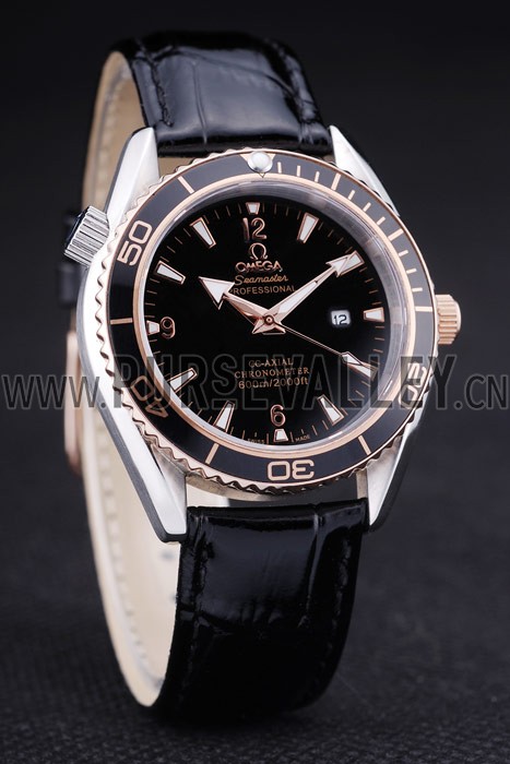 Omega Seamaster - om173