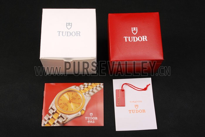 Tudor Watch Case