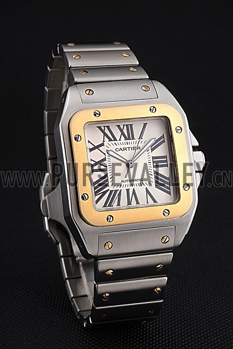 Swiss Cartier Santos De Cartier Galbee Yellow Gold and Steel Case Steel Bracelet 622643