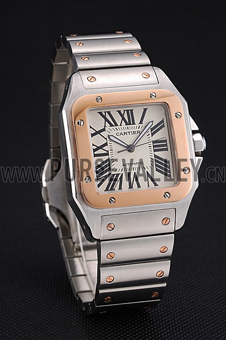 Swiss Cartier Santos White Dial Gold Bezel Steel Case And Bracelet 622881