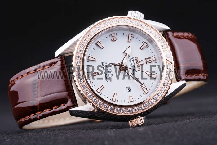 Omega Seamaster - om170