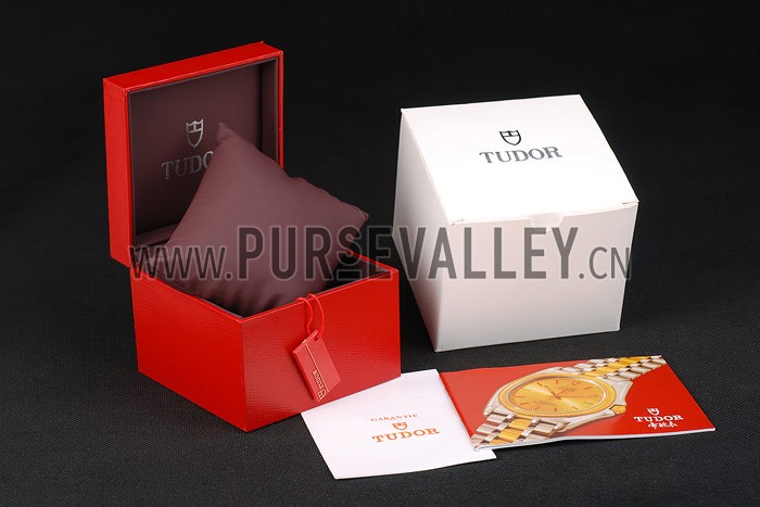Tudor Watch Case