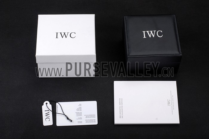 IWC Watch Case