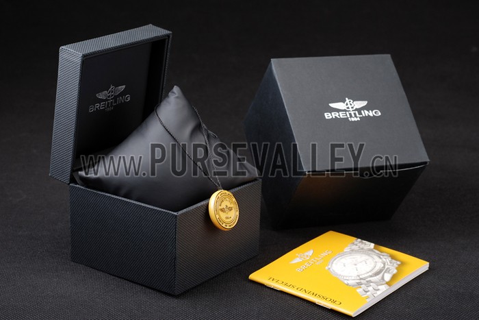 Breitling Watch Case