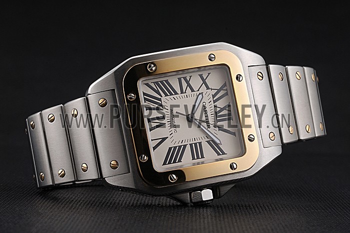 Swiss Cartier Santos De Cartier Galbee Yellow Gold and Steel Case Steel Bracelet 622643