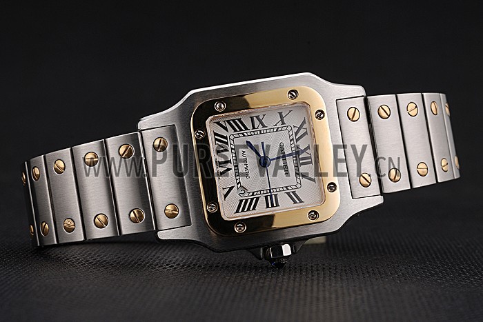 Swiss Cartier Santos De Cartier Galbeee Yellow Gold and Steel Case Steel Bracelet Small 622644