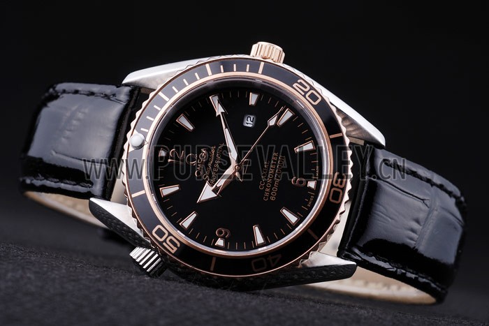 Omega Seamaster - om173