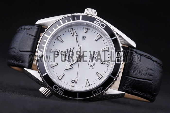 Omega Seamaster - om178