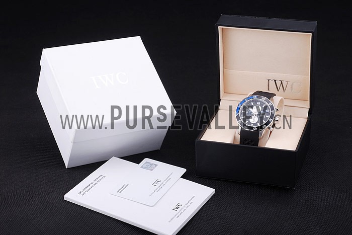 IWC Watch Case