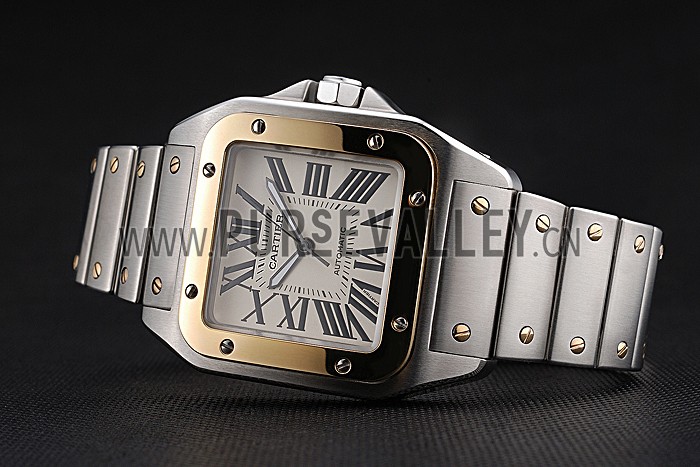 Swiss Cartier Santos De Cartier Galbee Yellow Gold and Steel Case Steel Bracelet 622643