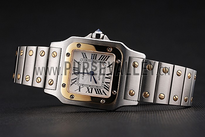 Swiss Cartier Santos De Cartier Galbeee Yellow Gold and Steel Case Steel Bracelet Small 622644