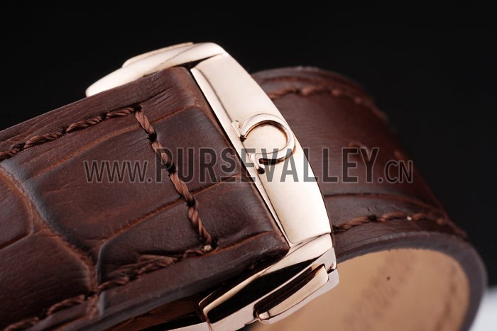 Omega Swiss Seamaster Railmaster Brown Strap Brown Striped Dial