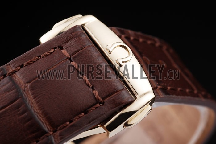 Omega Swiss Seamaster Aqua Terra Brown Strap White Striped Dial