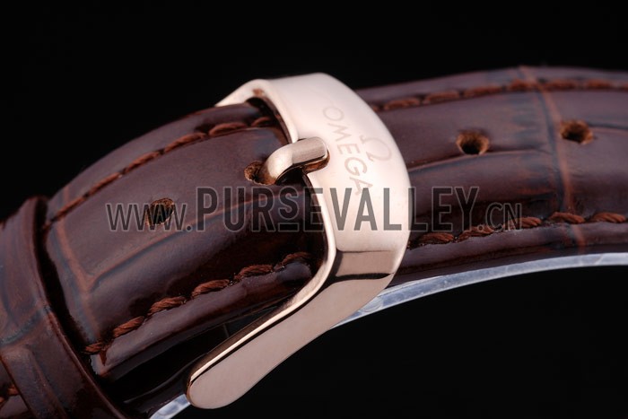 Omega Seamaster - om170