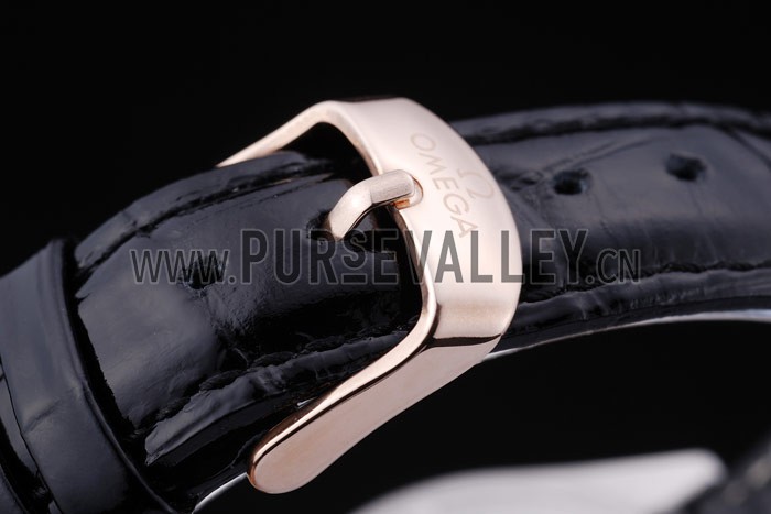 Omega Seamaster - om173