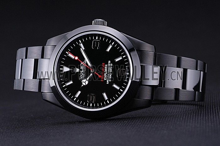 Rolex Explorer Pro Hunter Limited Edition 622549