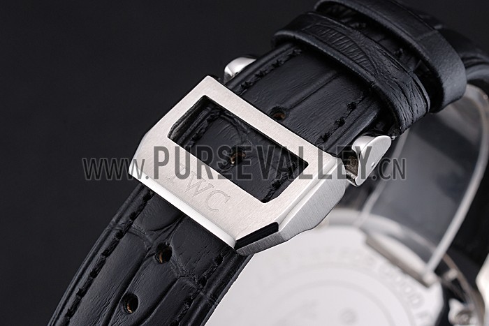 Iwc Schaffhausen iwc85