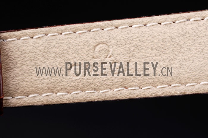 Omega Seamaster - om170