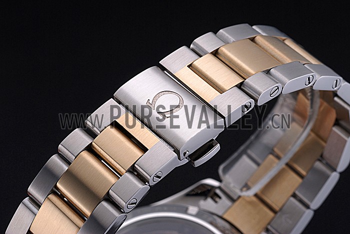 Omega Seamaster Planet Ocean GMT Black Dial Two Tone Band 622396