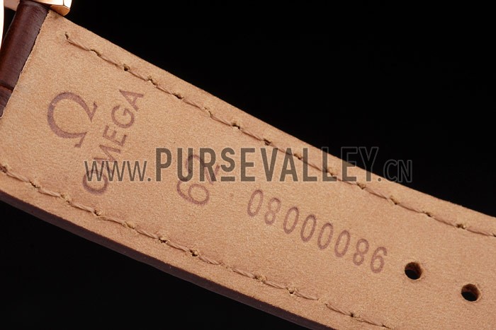 Omega Swiss Seamaster Railmaster Brown Strap Brown Striped Dial