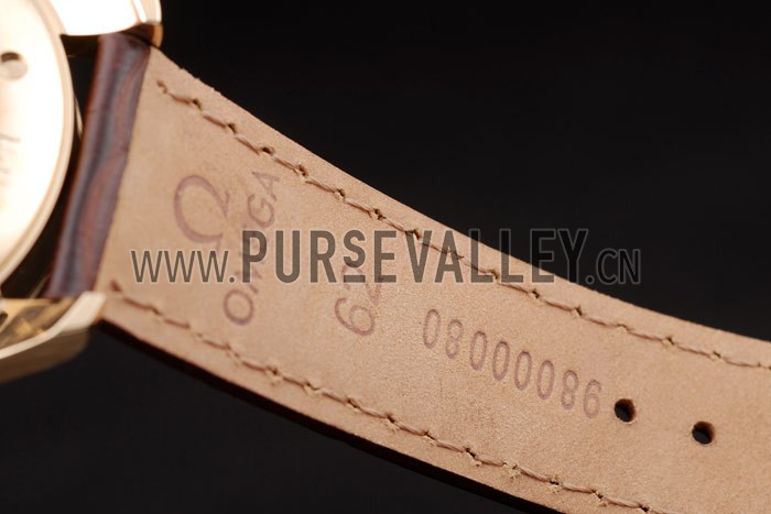 Omega Swiss Seamaster Aqua Terra Brown Strap White Striped Dial