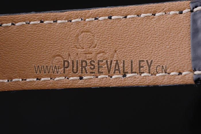 Omega Seamaster - om157