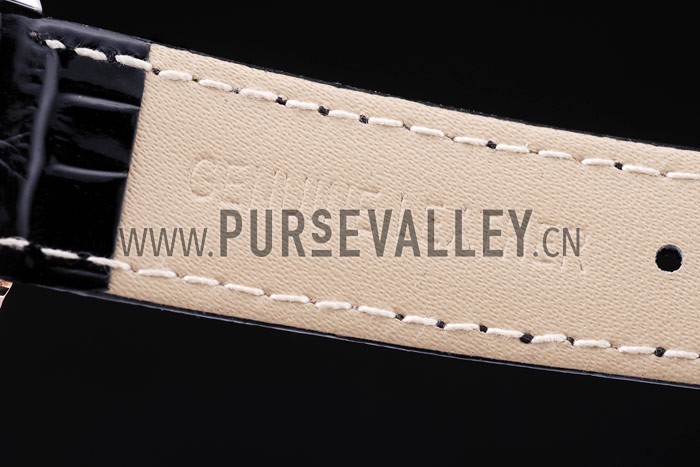 Omega Seamaster - om173