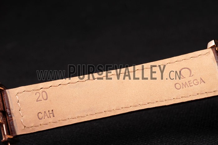 Omega Swiss Seamaster Railmaster Brown Strap Brown Striped Dial