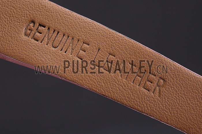 Cartier Santos 100 Diamond Silver Bezel 621910