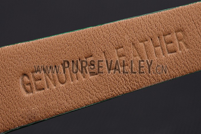 Cartier Santos 100 Diamond Silver Bezel 621914