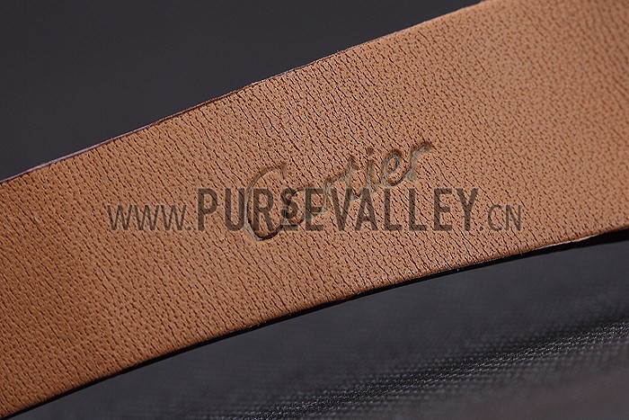 Cartier Santos 100 Diamond Silver Bezel 621926