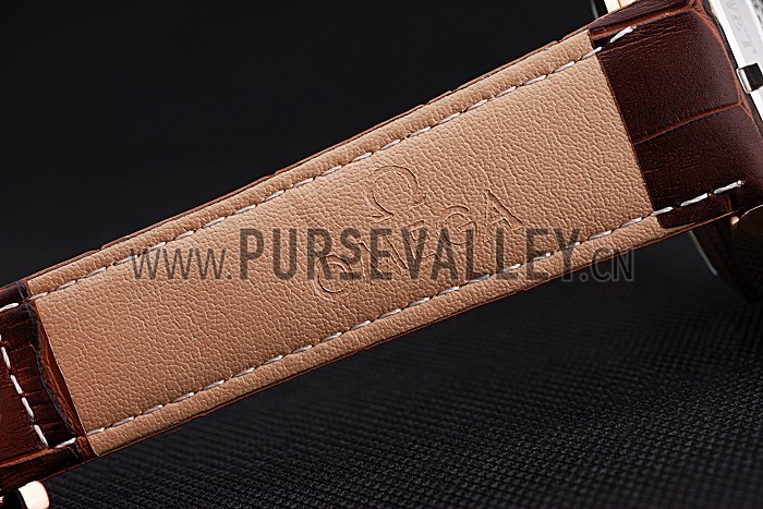 Omega Seamaster Aqua Terra Chrono GMT Teak-Grey Dial Brown Leather Bracelet 622536