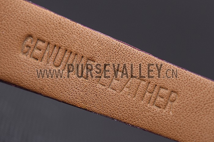 Cartier Santos 100 Diamond Silver Bezel 621911